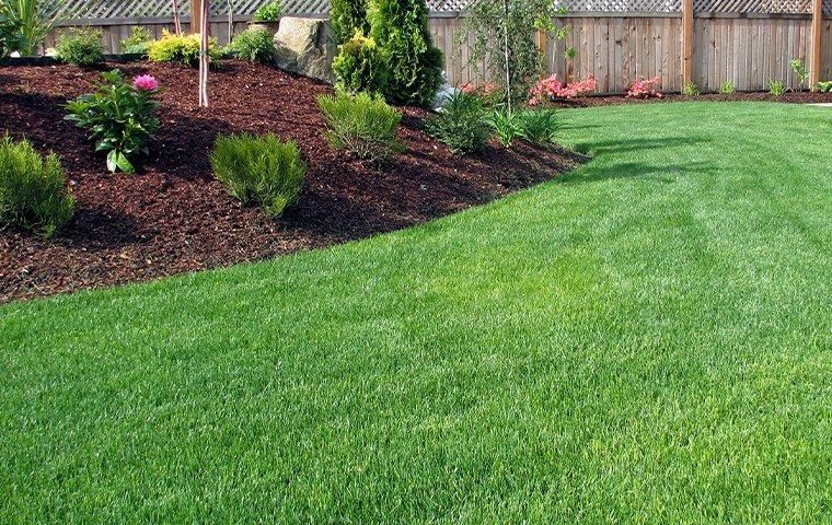 green-lawn-and-garden-landscaping